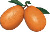 Kumquat.png