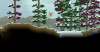 Snow Forest Surface.png