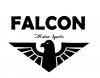 Falcon Motorsports.jpg