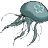 jellyfish123