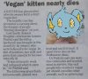 Vegan Shinx Nearly Dies.jpg
