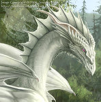 Dragon56