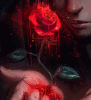 A Bloodied Rose